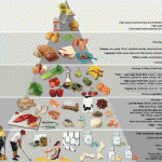 Bariatric Food Pyramid