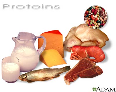 sharma-obesity-proteins-picture1