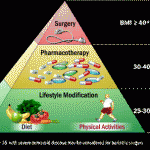 sharma-obesity-treatment-pyramid